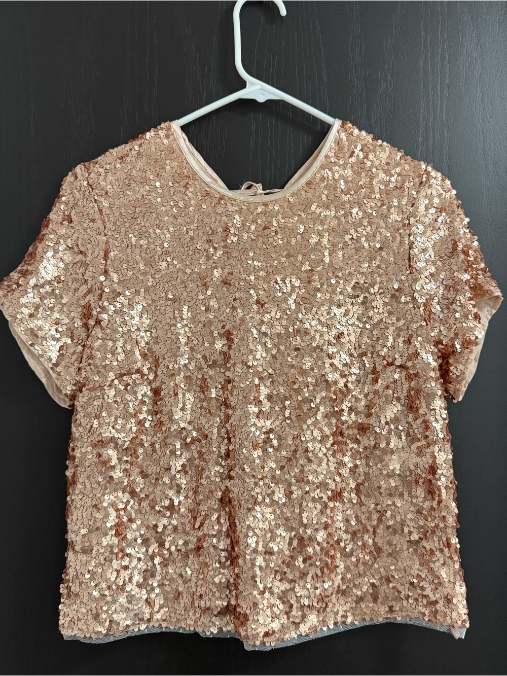 Abercrombie & Fitch Sequin Short Sleeve Top - Rose Gold
